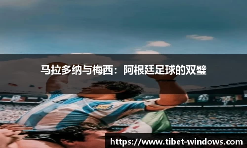 智博