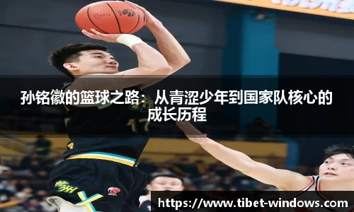 智博19有限公司